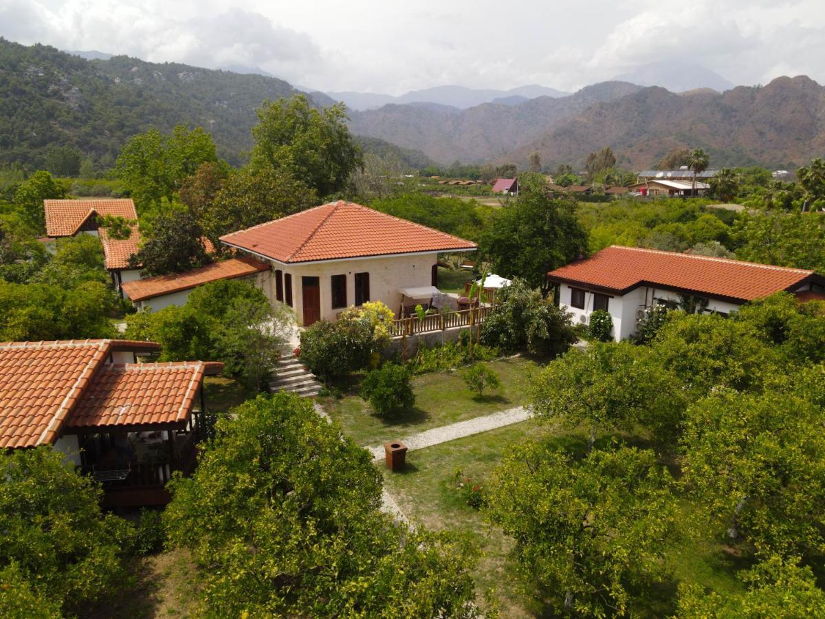 Akdeniz Bahcesi * Çıralı